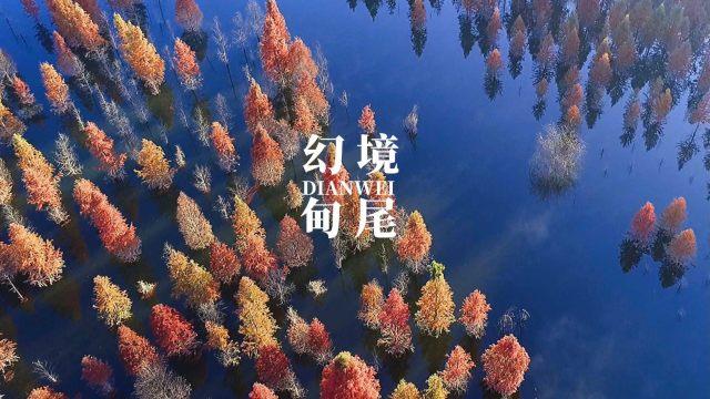 国企领导自身不正,竟提出减少纪检监察机构编制